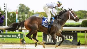 Timberlake, Champagne Stakes, Aqueduct, Eclipse Sportswire